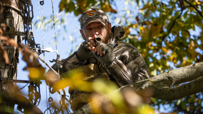 deer hunter in treestand grunt calling