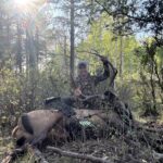 No Idea Bull Elk In Colorado By Matt Reynolds