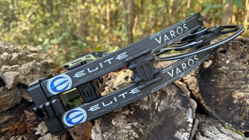 Elite Varos Bow Review