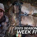 Bucks, Does & Coyotes | Justin’s Most Action Packed Week Yet!