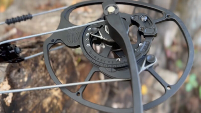Elite Varos Bow Review