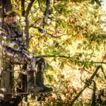 Top Things Hunters Do To Pass Time In The Treestand