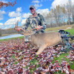 N/a Whitetail Deer In Marinette County, Wi By Andrew Bonjean