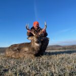 N/a Whitetail Deer In Sharon Springs Ny By Andrew Willey