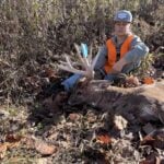 143 3/8 Whitetail Buck In St. John’s Mi By Easton Witt