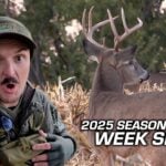 New Camera, Same Grind! Late October Whitetail Action