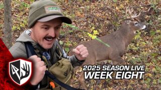 Gnarly Half Spike Buck At 10 Yards!