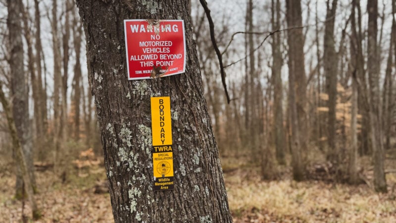 Top Excuses Public Land Hunters Make