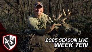 Bowhunting The Wisconsin Rut! Dogs Almost Ruined It!