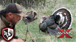Grinding It Out Pays Off On Public Land