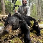 Black Bear In New Brunswick By Jordan Quinn