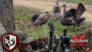 Bowhunting Turkeys Is A Terrible Idea!