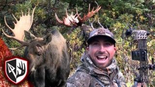 Diy Alaska Moose Hunt Success!