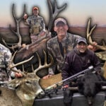 Bears, Buck, And Bulls! Dream Season!