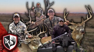 Bears, Buck, And Bulls! Dream Season!