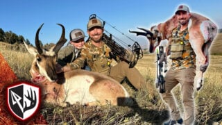 Spot & Stalk Antelope With A Bow