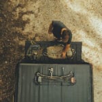 An overhead aerial view of a bowhunter standing at the open tailgate of a pickup truck organizing mobile hunting gear. A compound bow equipped with a quiver of arrows sits on the black tonneau cover, while a saddle platform and tan hunting pack rest on the tailgate along a dirt road.