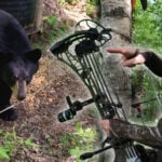 Composite image featuring a large black bear near a bait barrel on the left and bowhunter Mike Fitzgerald in a tree saddle on the right. Fitz wears camouflage and sunglasses, pointing toward a black compound bow positioned vertically in the center. The red and white Bowhunt or Die shield logo appears in the bottom-left corner.