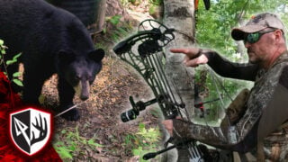 Composite image featuring a large black bear near a bait barrel on the left and bowhunter Mike Fitzgerald in a tree saddle on the right. Fitz wears camouflage and sunglasses, pointing toward a black compound bow positioned vertically in the center. The red and white Bowhunt or Die shield logo appears in the bottom-left corner.