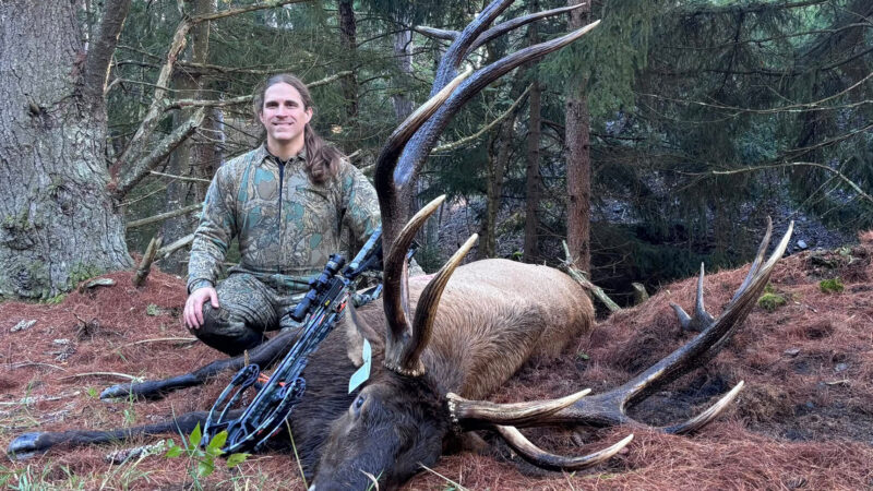 Pennsylvania hunter Michael Skvarla posing in the timber with his potential state-record 428-inch bull elk and crossbow.