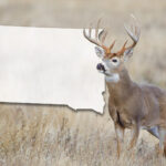 A whitetail buck standing in an autumn field next to a translucent white map of South Dakota.