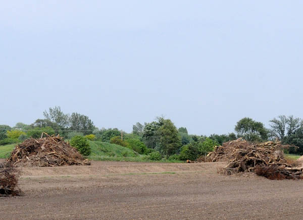 Bulldozers pushed several hundred yards of shelterbelts into numerous burn-piles on this southern Wisconsin farm.