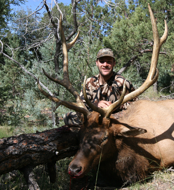 Bowhunter posing behind a bull elk