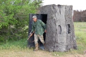 Nature Blinds Imitate A Tree Stump Stump Unsuspecting Game Animals