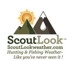 Scout Look Weather