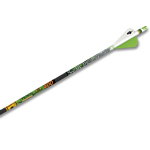 Gold Tip Arrow Gold Tip Arrow