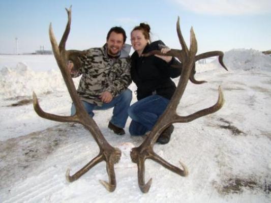 elk antlers with peeps