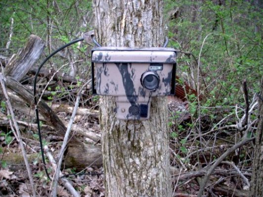 camtracker scouting camera on tree
