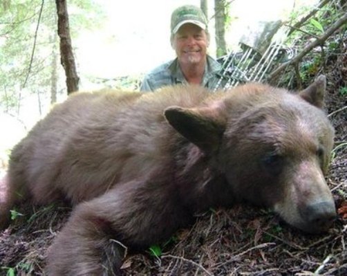 ted nugent behind bear
