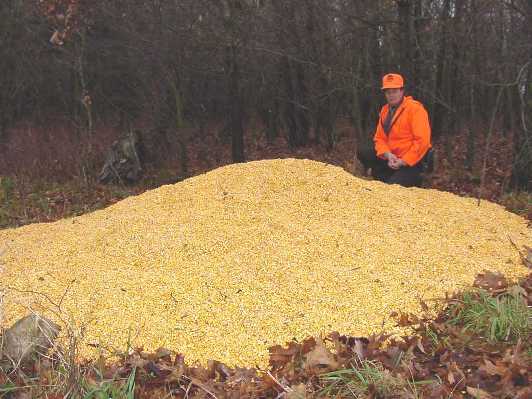 corn pile