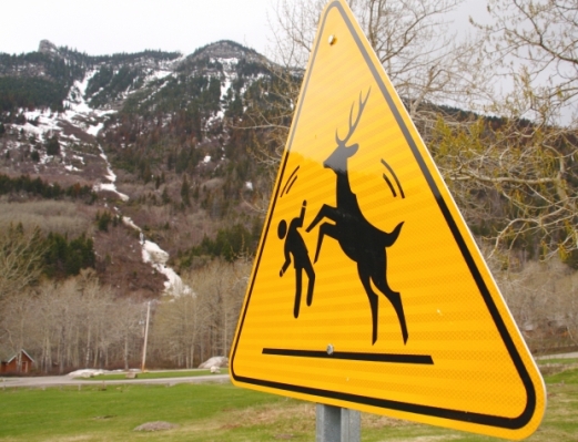 deer attacking human sign