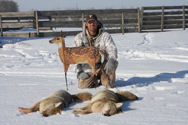 fawnzy decoy with hunter over 2 yotes