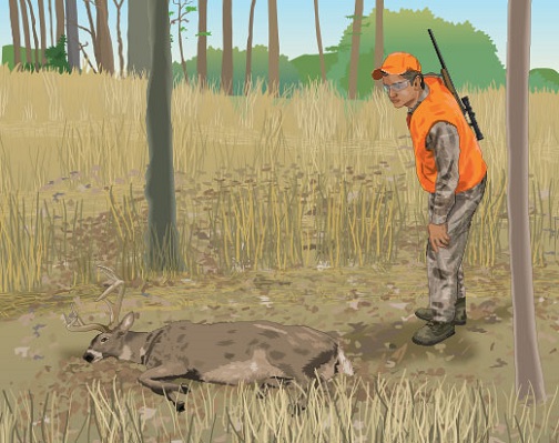 hunter approaches wounded deer
