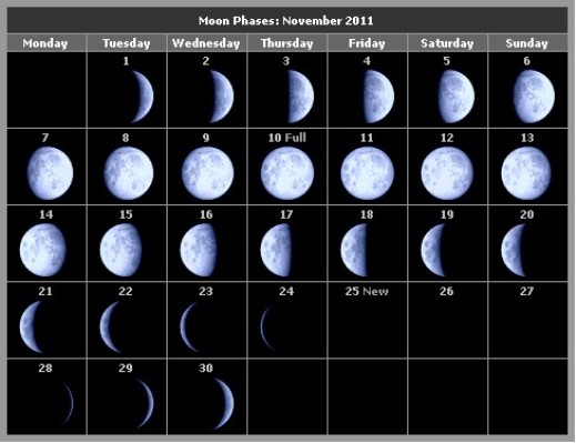 november moon phases calendar