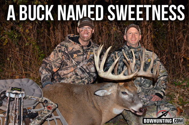 Sweet 16 Buck