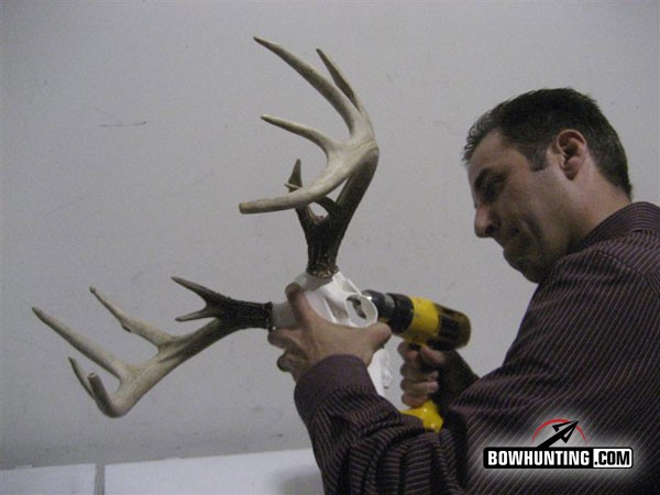 The Skull Master | Antler Mounting Kit