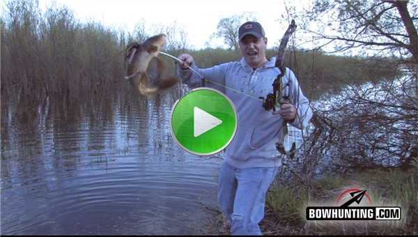 Click here to watch some exciting bowfishing action