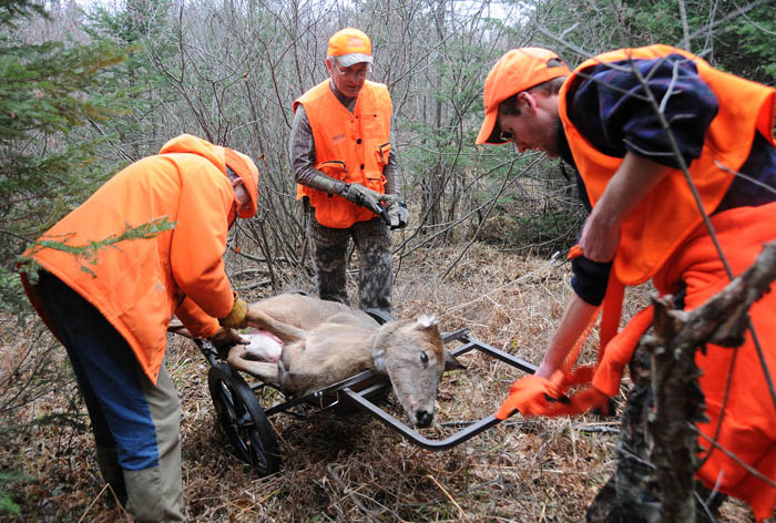 Patrick Durkin, center, and his friends Tom Heberlein, left, and Chris White use a rickshaw to help haul out a doe in Ashland County in November 2009. (Patrick Durkin photo)