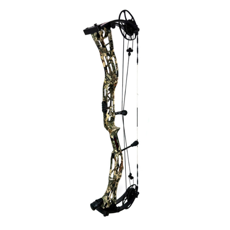New Bows for 2026
