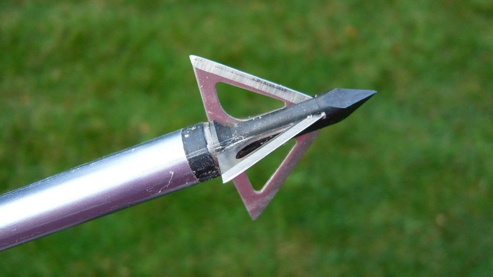 crossbow broadheads