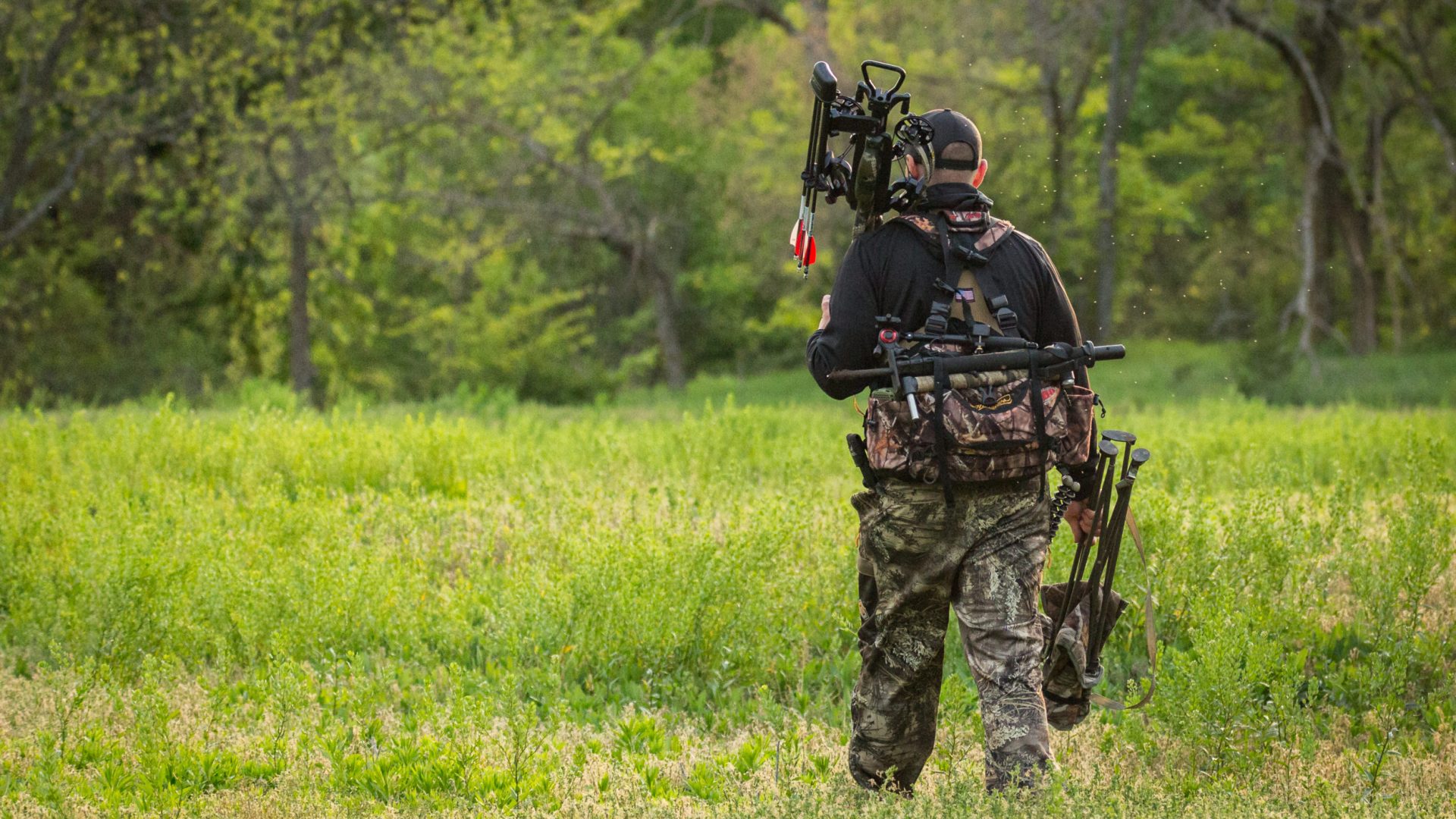 Why Crossbow Hunting Has Become So Popular