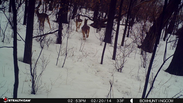 Stealth Cam G30 Sample Photo Stealth Cam G30 Sample Photo